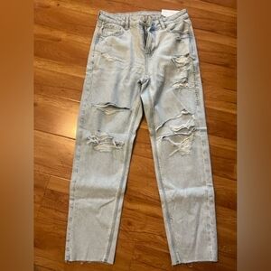 American Eagle Mom Jean